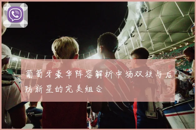 葡萄牙豪华阵容解析中场双核与后防新星的完美组合