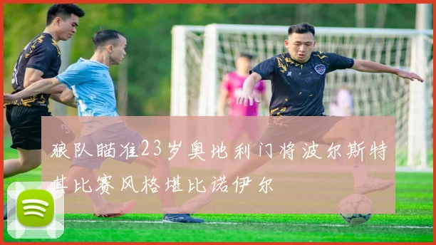 狼队瞄准23岁奥地利门将波尔斯特其比赛风格堪比诺伊尔